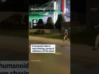 Robot Cleans Up Streets, Chasing Wild Boars Away