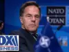 Rutte Warns NATO Faces Crisis Over US Support