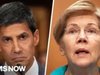 Senator Warren Accuses Trump of Seeking ‘Sock Puppet’ Fed Chair