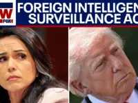 Spy Law Debate: DNI Gabbard Clashed With Trump on Privacy