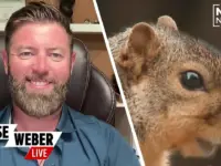 Squirrels ‘Vaping’? Experts Unmask Odd Animal Behaviors