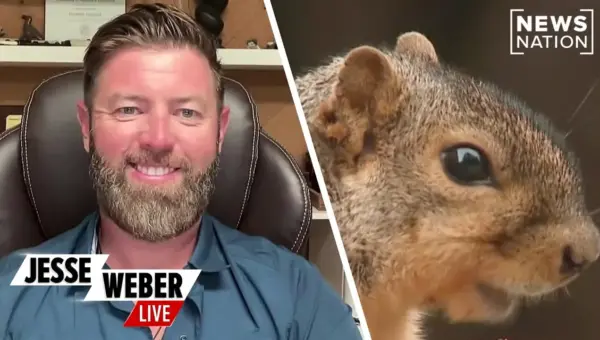 Squirrels ‘Vaping’? Experts Unmask Odd Animal Behaviors