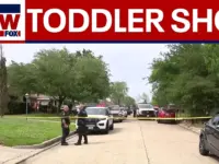 Toddler Critically Hurt After Gun Accidentally Discharged