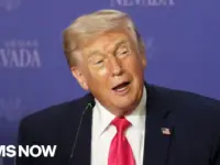 Trump Claims Tax Refunds Boost Economy, Experts Disagree