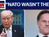Trump Criticizes NATO, Allies Face Defense Spending Demands