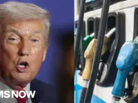Trump Downplays Gas Prices Amid Voter Blame