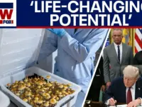 Trump Fast-Tracks Psychedelic Drugs for Veteran Mental Health