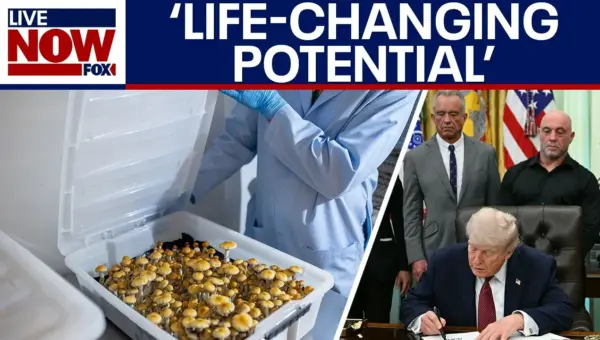 Trump Fast-Tracks Psychedelic Drugs for Veteran Mental Health