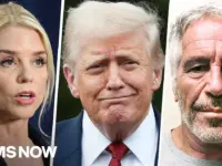 Trump Ousts Bondi Amid Epstein Probe, Congress Demands Answers