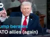 Trump’s NATO Pressure Weakens Alliance, Experts Warn