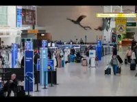 Trump’s Paycheck Fix Solves TSA Crisis, But Not the Root Cause