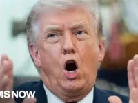 Trump’s Words Harm US Standing, Damage Democracy: Law Prof