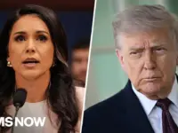 Tulsi Gabbard Refers Whistleblower for Criminal Probe