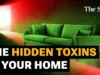 UK Sofas Among World’s Most Toxic: Report Reveals Hidden Dangers
