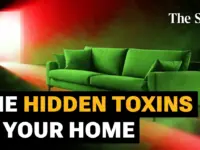 UK Sofas Among World’s Most Toxic: Report Reveals Hidden Dangers