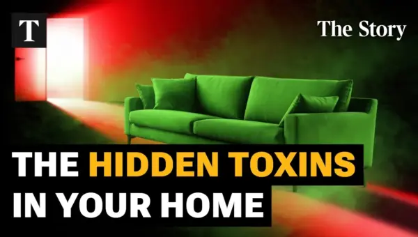 UK Sofas Among World’s Most Toxic: Report Reveals Hidden Dangers
