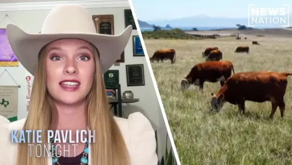 US Beef Faces Global Strain, Seeks Domestic Boost