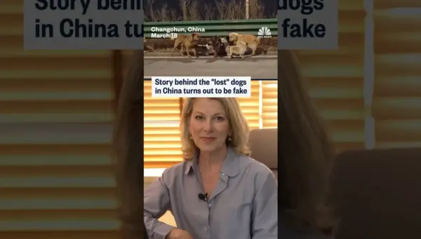 Viral ‘Lost Dogs’ Story in China Exposed as Fake