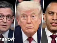 Virginia Redistricting Vote Fuels Midterm Fight