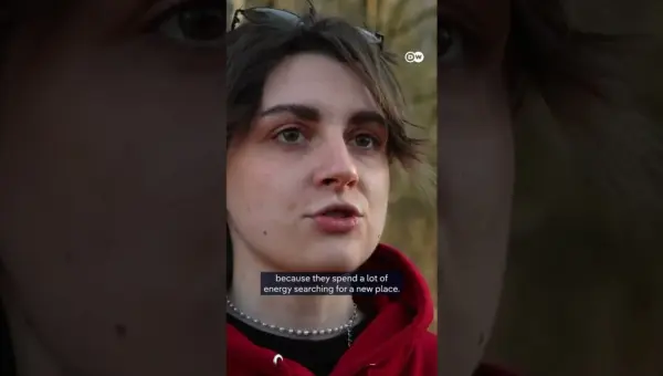 War-Stranded Bats Find Refuge in Ukrainian Rescue Effort