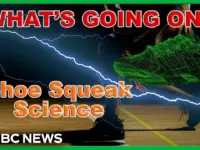 Why Do Basketball Shoes Squeak? Science Reveals Surprising Answer