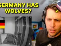 Wolf Bites Woman: Germany’s Urban Nature Clash