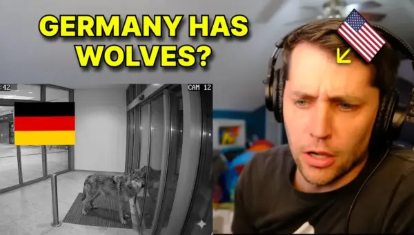 Wolf Bites Woman: Germany’s Urban Nature Clash