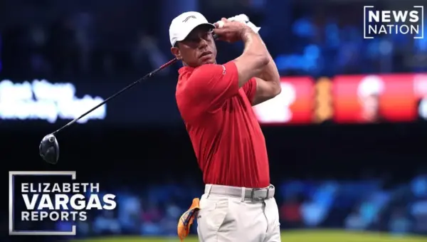 Woods Seeks Treatment After DUI Arrest