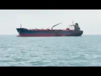 World Allies Step Up as US Steps Back from Strait Security