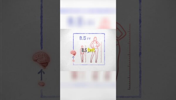 Boost Your Brainpower: Unlocking Cognitive Potential