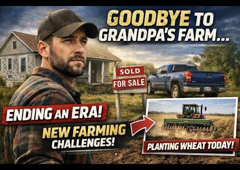 Farming Co-op Fights Corporate Giant Amidst Seed Crisis