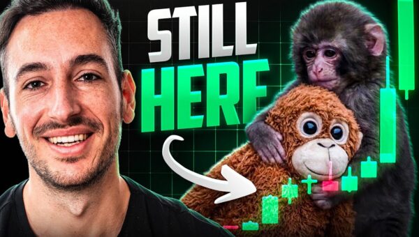 Punch Memecoin Surges Amidst Viral Narrative