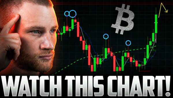 Bitcoin’s Reliable Bottom Indicator Flashes