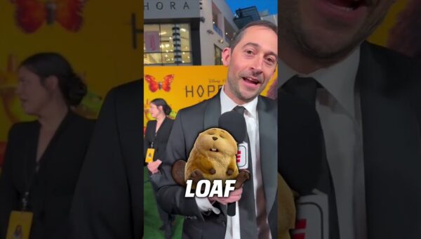 Hoppers Characters: A Dream Sports Lineup?